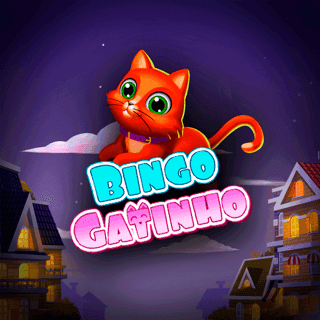 Bingo Gatinho